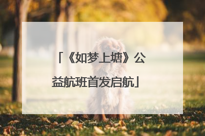 《如梦上塘》公益航班首发启航