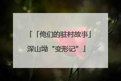 「俺们的驻村故事」深山坳“变形记”