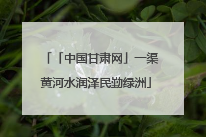 「中国甘肃网」一渠黄河水润泽民勤绿洲