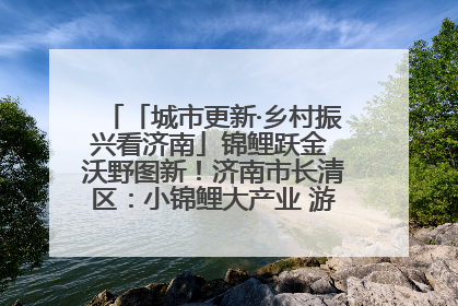 「城市更新·乡村振兴看济南」锦鲤跃金 沃野图新！济南市长清区：小锦鲤大产业 游出农旅新风景