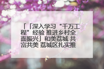 「深入学习“千万工程”经验 推进乡村全面振兴」和美荔城 共富共美 荔城区扎实推进乡村振兴工作