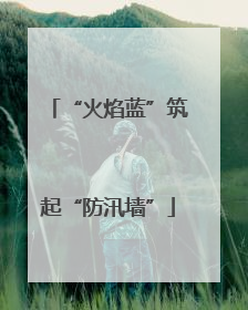 “火焰蓝”筑起“防汛墙”