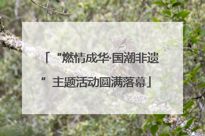 “燃情成华·国潮非遗”主题活动圆满落幕