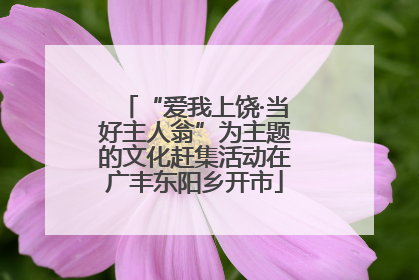 “爱我上饶·当好主人翁”为主题的文化赶集活动在广丰东阳乡开市
