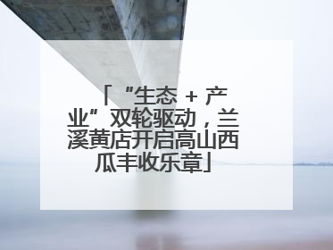 “生态 + 产业”双轮驱动，兰溪黄店开启高山西瓜丰收乐章
