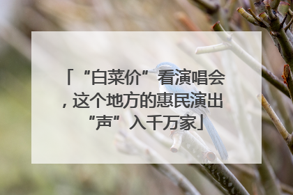 “白菜价”看演唱会，这个地方的惠民演出“声”入千万家