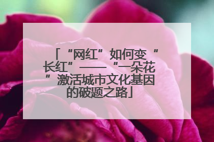 “网红”如何变“长红”——“一朵花”激活城市文化基因的破题之路