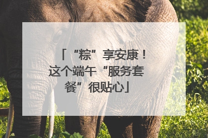 “粽”享安康！这个端午“服务套餐”很贴心