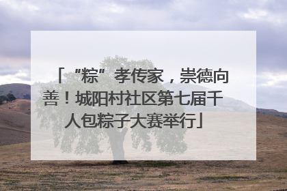 “粽”孝传家，崇德向善！城阳村社区第七届千人包粽子大赛举行