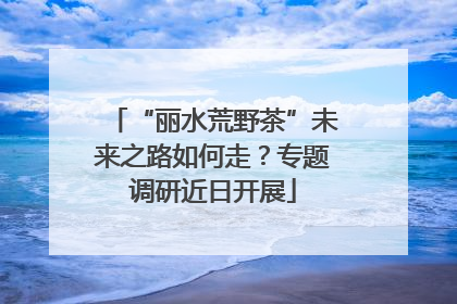 “丽水荒野茶”未来之路如何走？专题调研近日开展