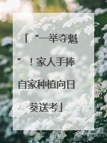 “一举夺魁”！家人手捧自家种植向日葵送考