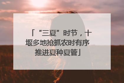 “三夏”时节，十堰多地抢抓农时有序推进夏种夏管