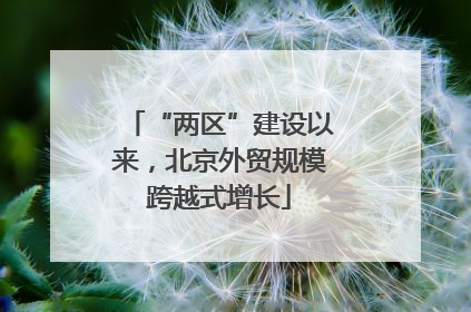 “两区”建设以来，北京外贸规模跨越式增长