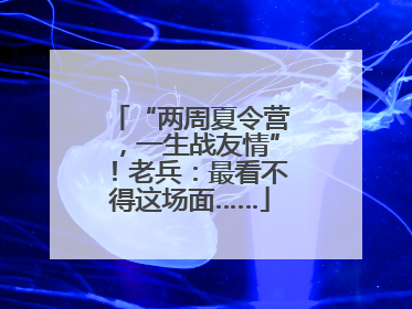 “两周夏令营，一生战友情”！老兵：最看不得这场面……