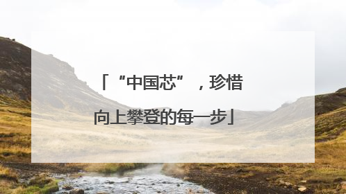 “中国芯”，珍惜向上攀登的每一步