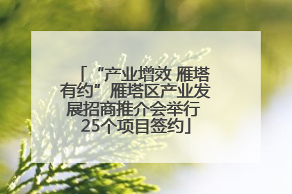 “产业增效 雁塔有约”雁塔区产业发展招商推介会举行 25个项目签约