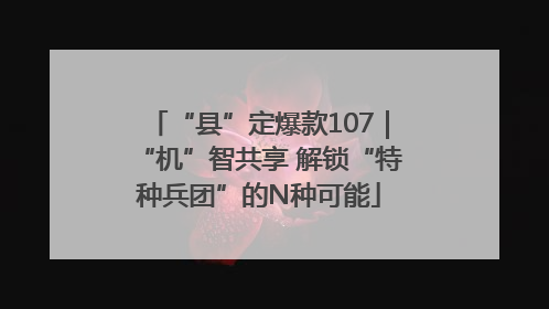 “县”定爆款107｜“机”智共享 解锁“特种兵团”的N种可能