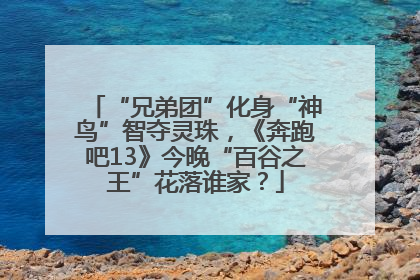 “兄弟团”化身“神鸟”智夺灵珠，《奔跑吧13》今晚“百谷之王”花落谁家？