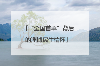 “全国首单”背后的淄博民生情怀