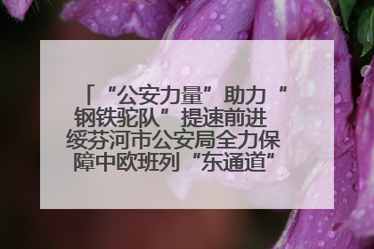 “公安力量”助力“钢铁驼队”提速前进 绥芬河市公安局全力保障中欧班列“东通道”绥芬河隧道贯通