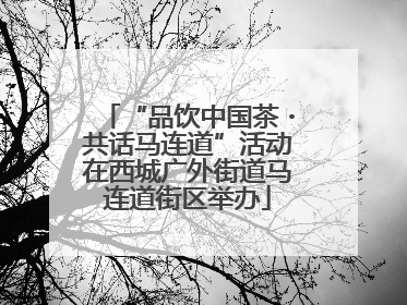 “品饮中国茶・共话马连道”活动在西城广外街道马连道街区举办
