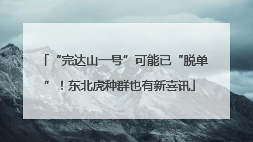 “完达山一号”可能已“脱单”！东北虎种群也有新喜讯
