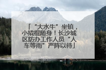 “大水牛”坐镇，小撬棍随身！长沙城区防办工作人员“人车等雨”严阵以待