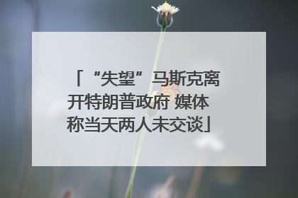 “失望”马斯克离开特朗普政府 媒体称当天两人未交谈