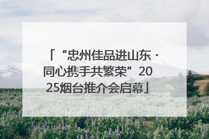 “忠州佳品进山东・同心携手共繁荣”2025烟台推介会启幕