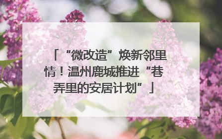 “微改造”焕新邻里情！温州鹿城推进“巷弄里的安居计划”