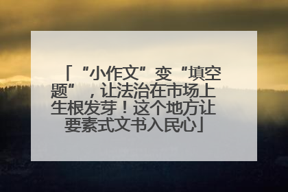 “小作文”变“填空题”，让法治在市场上生根发芽！这个地方让要素式文书入民心