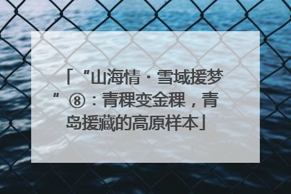 “山海情・雪域援梦”⑧：青稞变金稞，青岛援藏的高原样本