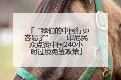 “我们的中国行更容易了”——印尼民众点赞中国240小时过境免签政策