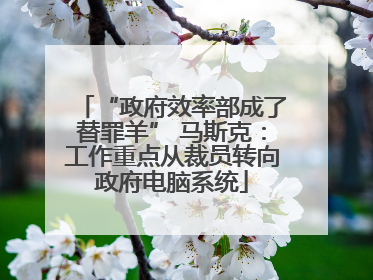 “政府效率部成了替罪羊” 马斯克：工作重点从裁员转向政府电脑系统