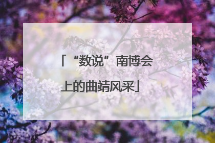 “数说”南博会上的曲靖风采