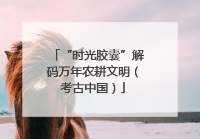 “时光胶囊”解码万年农耕文明（考古中国）