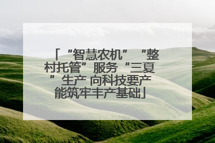 “智慧农机”“整村托管”服务“三夏”生产 向科技要产能筑牢丰产基础