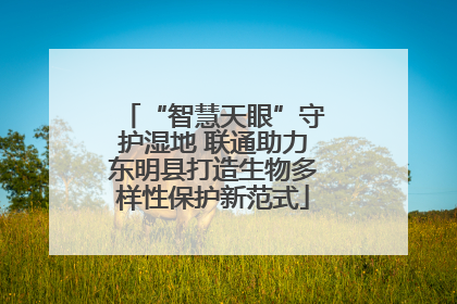 “智慧天眼”守护湿地 联通助力东明县打造生物多样性保护新范式