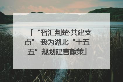“智汇荆楚·共建支点” 我为湖北“十五五”规划建言献策
