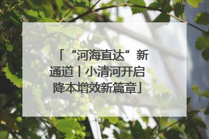 “河海直达”新通道丨小清河开启降本增效新篇章