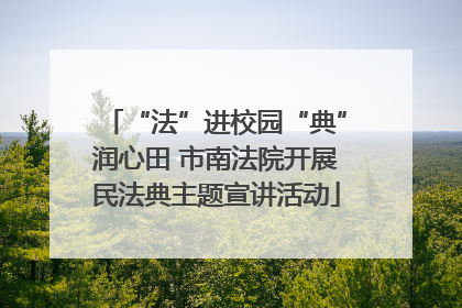 “法”进校园“典”润心田 市南法院开展民法典主题宣讲活动