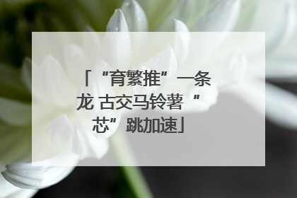 “育繁推”一条龙 古交马铃薯“芯”跳加速