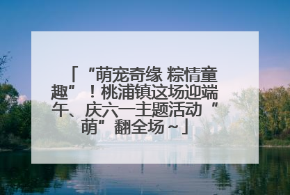 “萌宠奇缘 粽情童趣”！桃浦镇这场迎端午、庆六一主题活动“萌”翻全场～