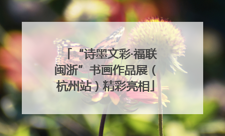“诗墨文彩·福联闽浙”书画作品展（杭州站）精彩亮相