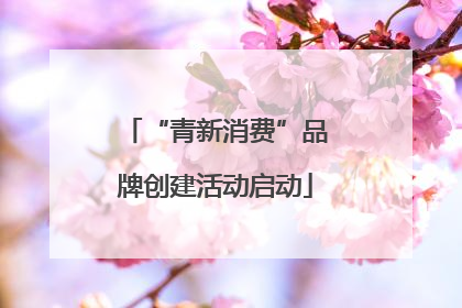 “青新消费”品牌创建活动启动