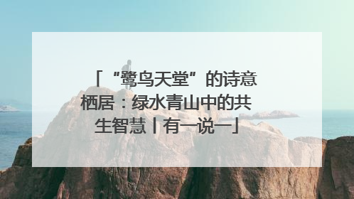 “鹭鸟天堂”的诗意栖居：绿水青山中的共生智慧丨有一说一