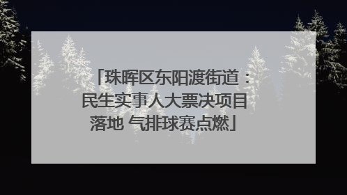 珠晖区东阳渡街道：民生实事人大票决项目落地 气排球赛点燃