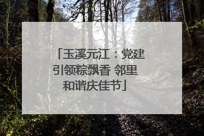 玉溪元江：党建引领粽飘香 邻里和谐庆佳节