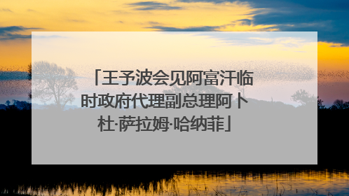 王予波会见阿富汗临时政府代理副总理阿卜杜·萨拉姆·哈纳菲