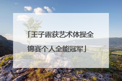 王子露获艺术体操全锦赛个人全能冠军